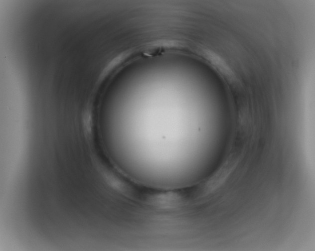 X0000113860112200909241316