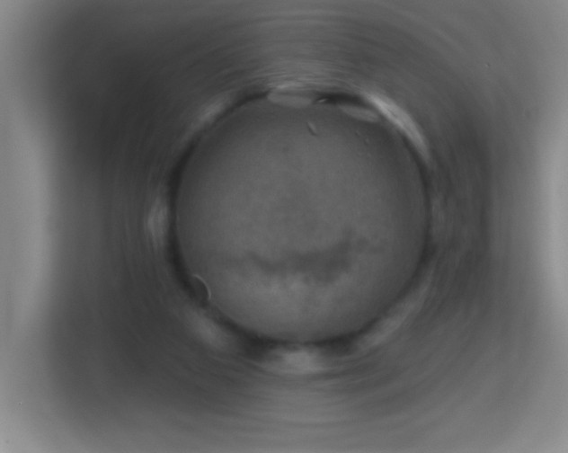X0000113860113200909241316