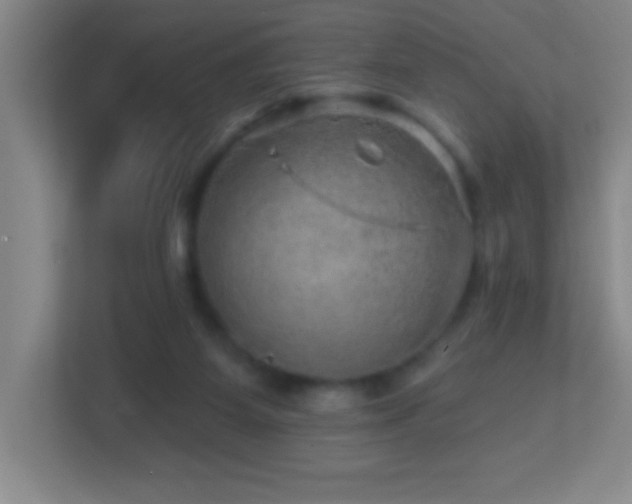 X0000113860115200909241315