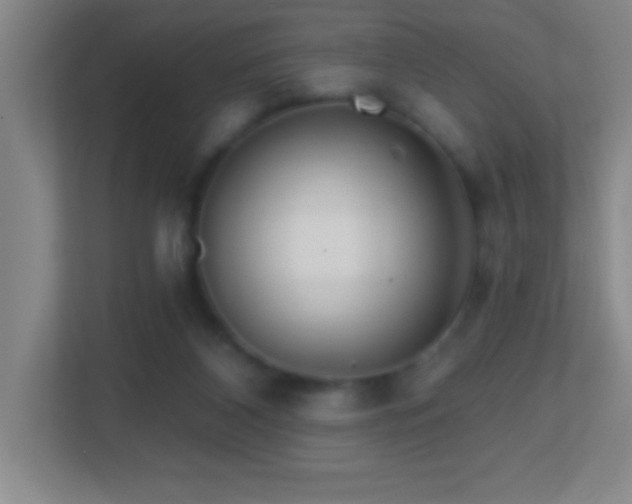 X0000113860116200909241315