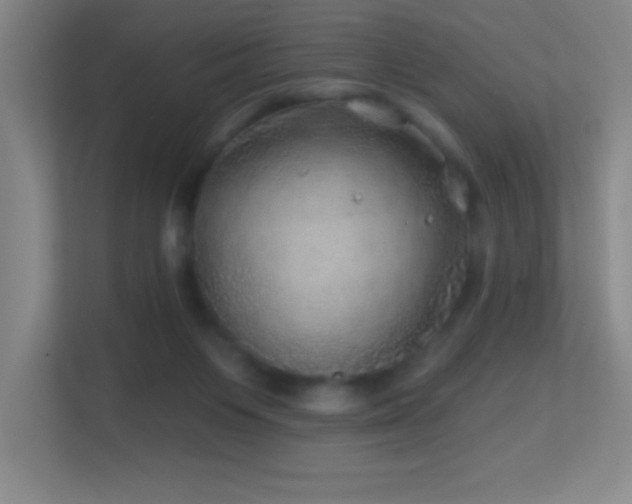 X0000113860119200909241315
