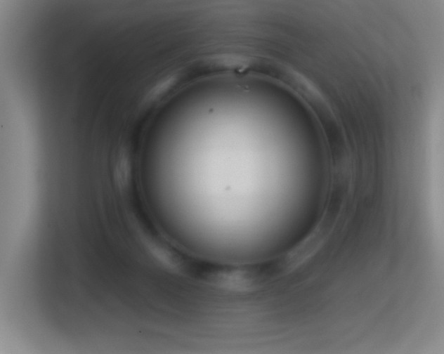 X0000113860120200909241315