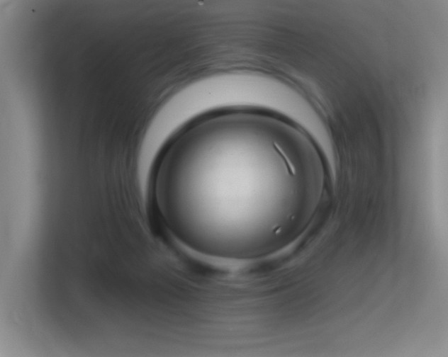 X0000113860121200909241315