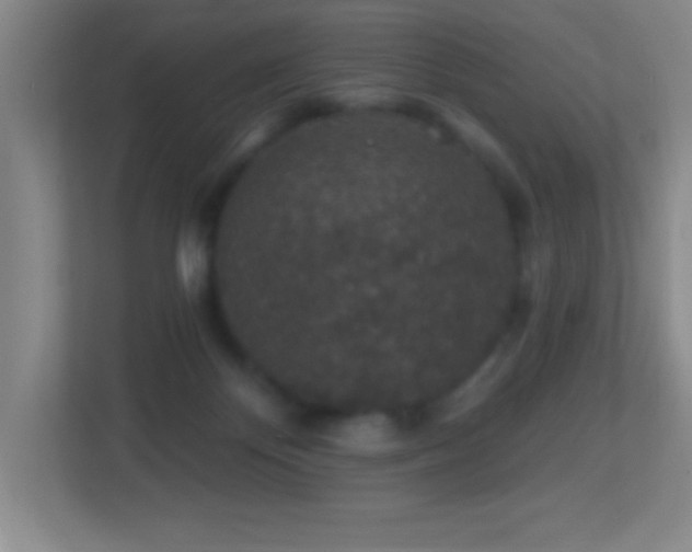 X0000113860124200909241315