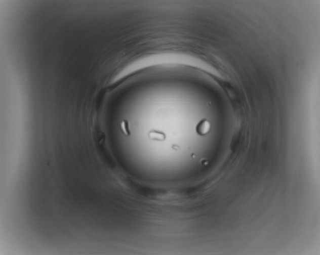 X0000113860125200909241315