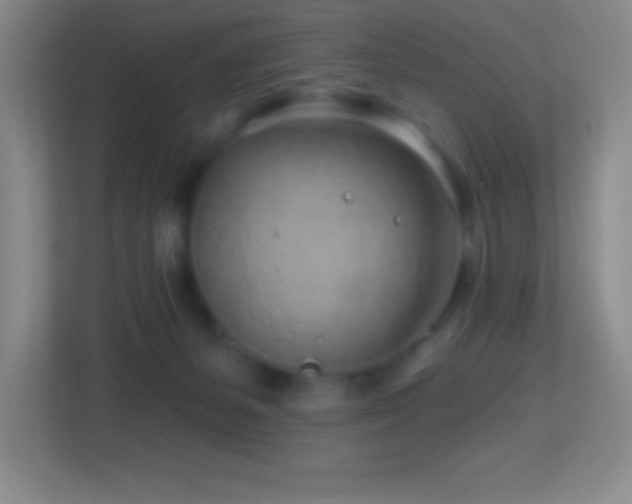 X0000113860127200909241315