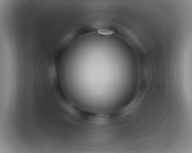 X0000113860128200909241315