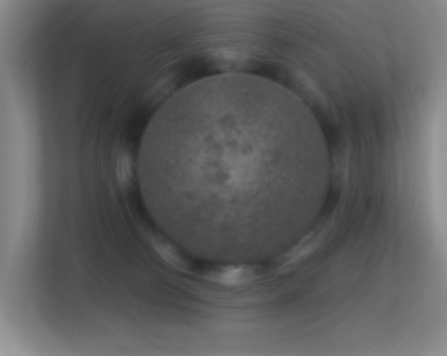 X0000113860130200909241315
