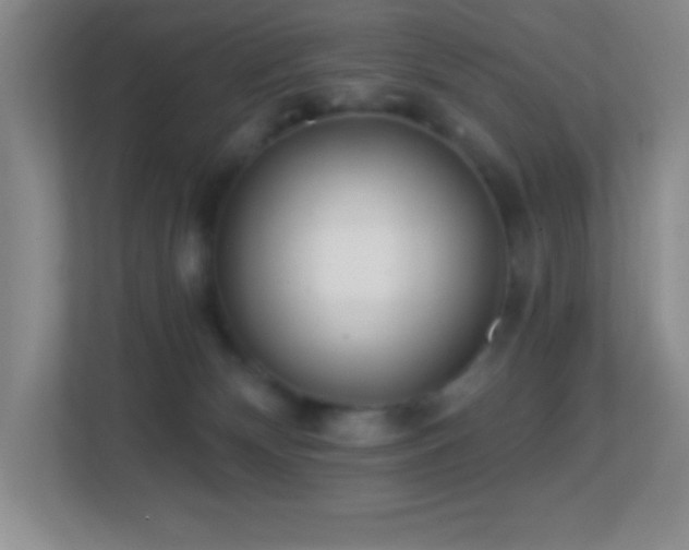 X0000113860132200909241315