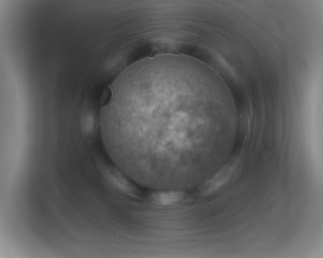 X0000113860134200909241315