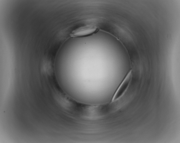 X0000113860136200909241315