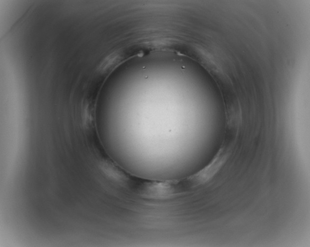 X0000113860140200909241315