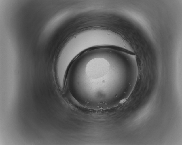 X0000113860146200909241315