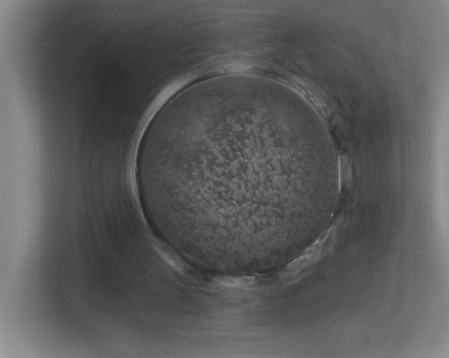 X0000113860147200909241315