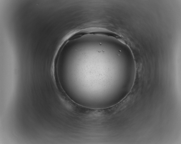 X0000113860148200909241315