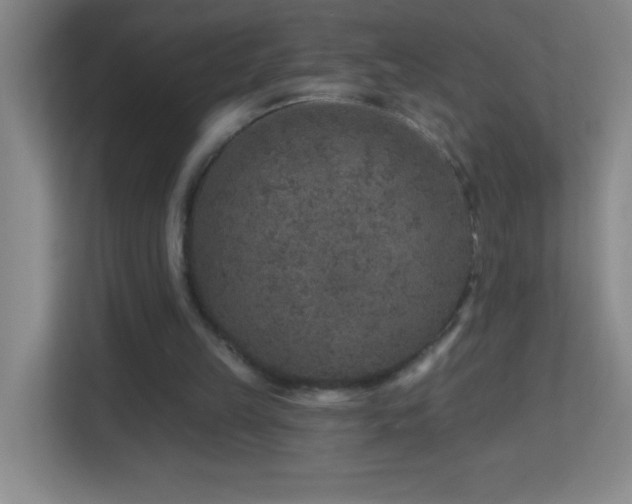 X0000113860149200909241315