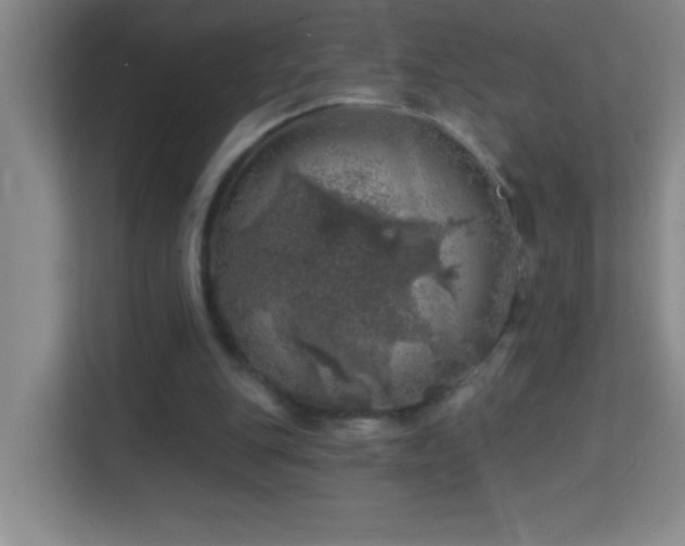 X0000113860151200909241315