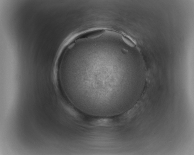 X0000113860152200909241315