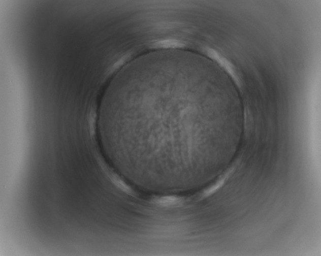 X0000113860153200909241315