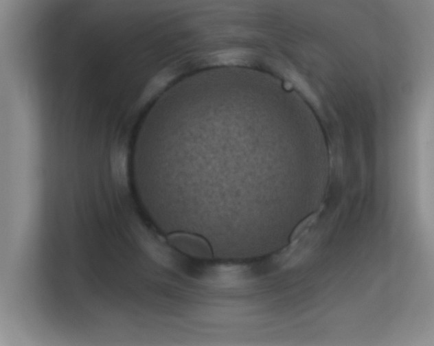 X0000113860154200909241315