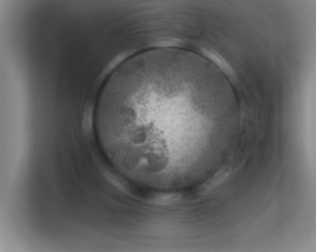X0000113860155200909241315