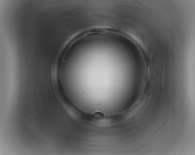 X0000113860156200909241315