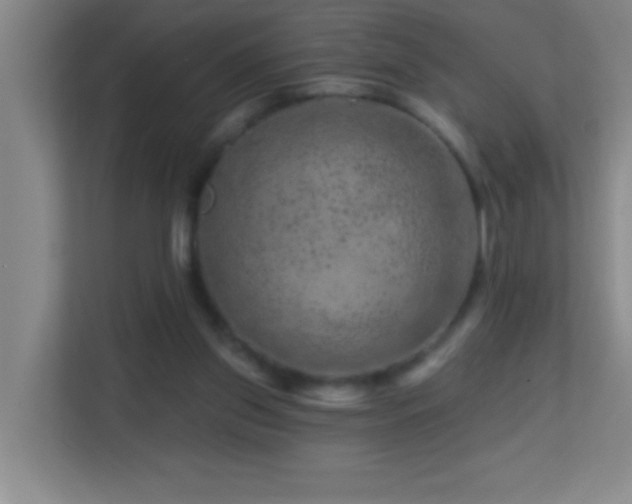 X0000113860157200909241315