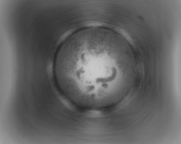 X0000113860159200909241315