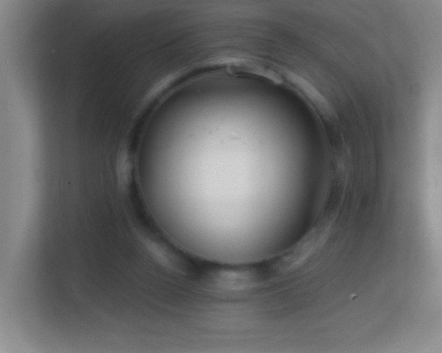 X0000113860160200909241315