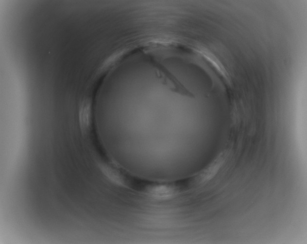 X0000113860163200909241315