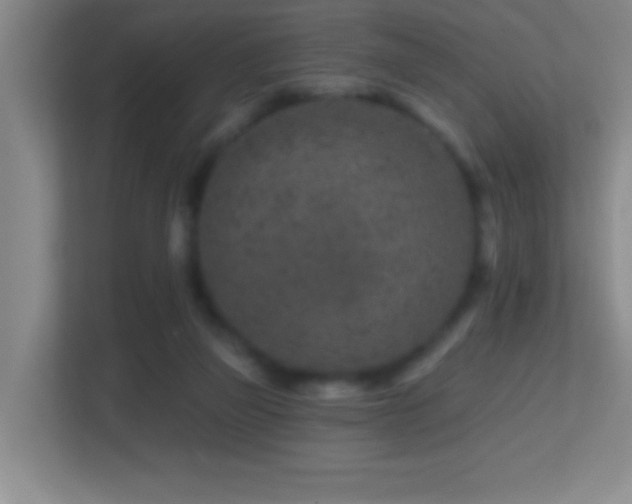 X0000113860165200909241315
