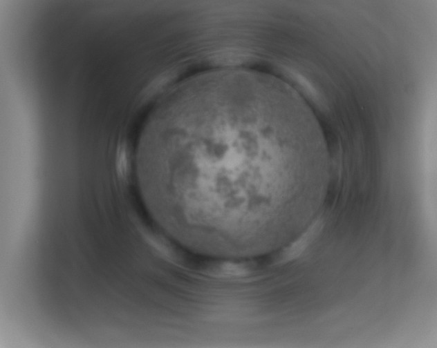 X0000113860166200909241315