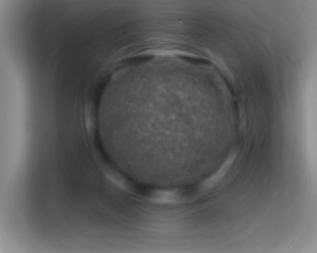 X0000113860170200909241315