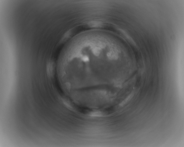 X0000113860171200909241315
