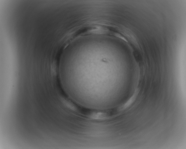 X0000113860174200909241315