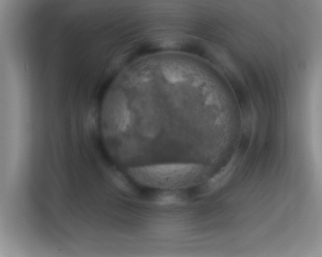 X0000113860175200909241315