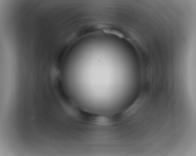 X0000113860176200909241315
