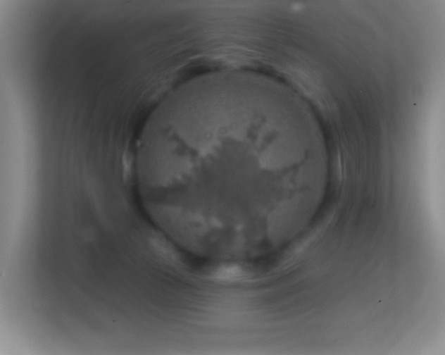 X0000113860177200909241315