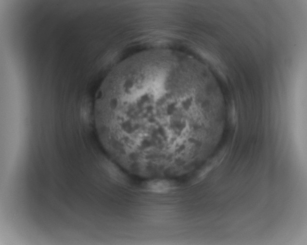 X0000113860181200909241315