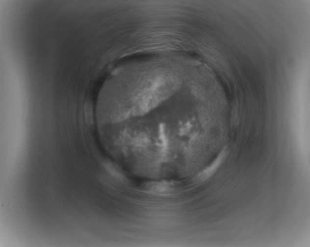 X0000113860182200909241315
