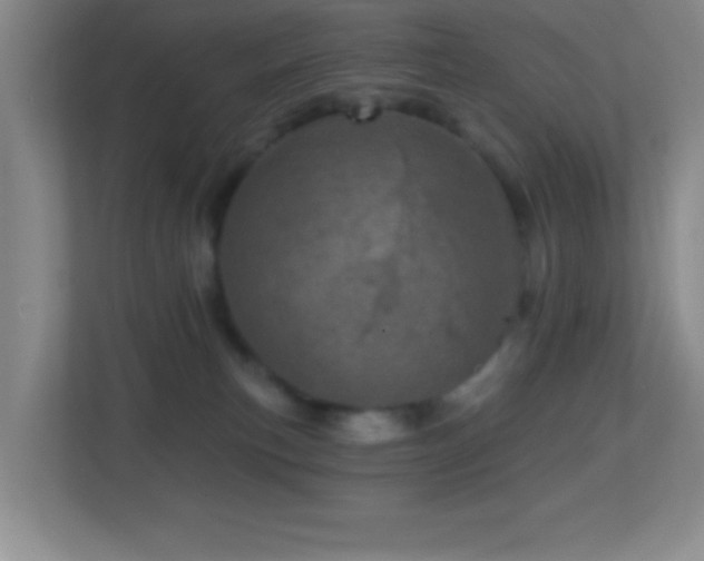 X0000113860183200909241315