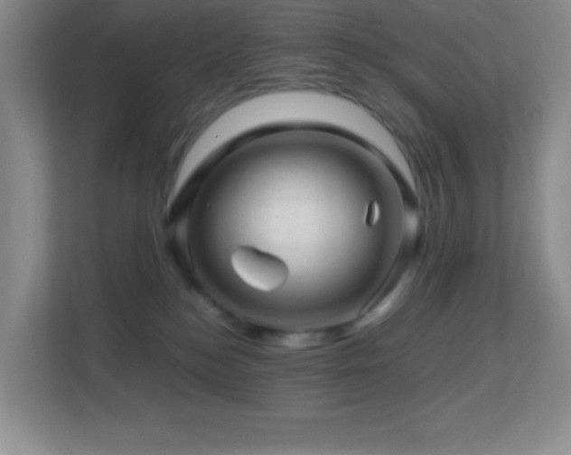 X0000113860184200909241315