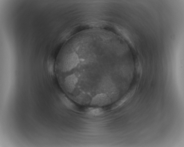 X0000113860185200909241315
