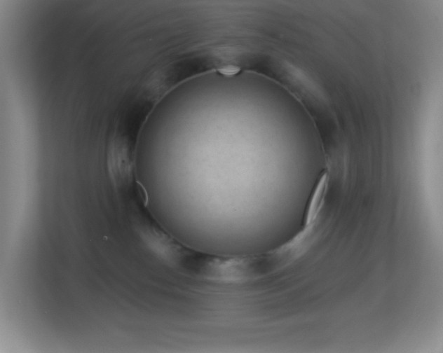 X0000113860186200909241315