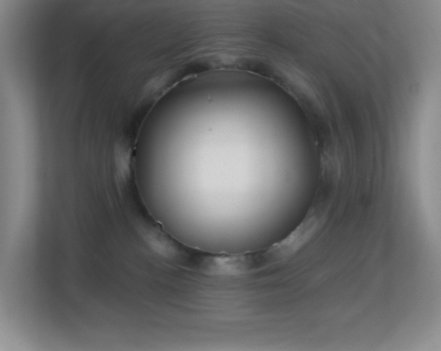 X0000113860188200909241315