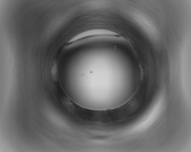 X0000113860190200909241315