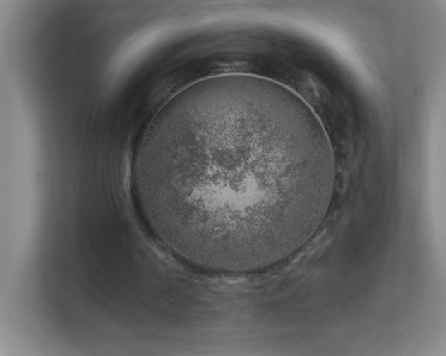 X0000113860194200909241314