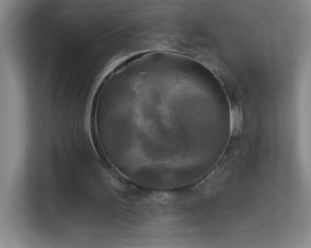 X0000113860195200909241314