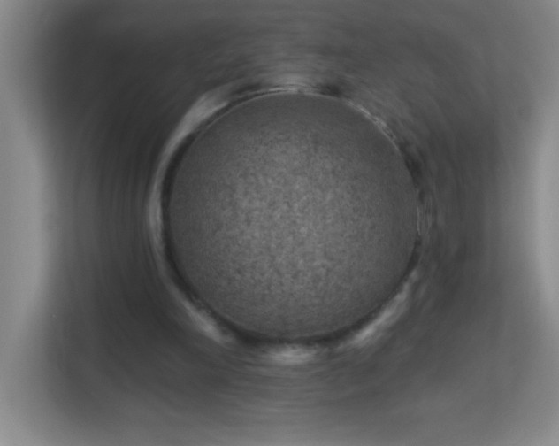 X0000113860198200909241314
