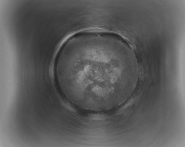 X0000113860200200909241314